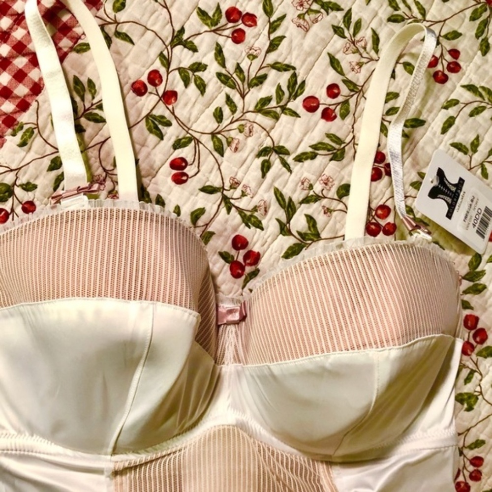 Corset - Bustier 40G Bridal Wedding Cami Lingerie Underwire Plus Size Bra NWT - Picture 3 of 5